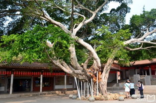 福建泉州 石鼓廟 南少林寺 清源山 開元寺 府文廟 清凈寺