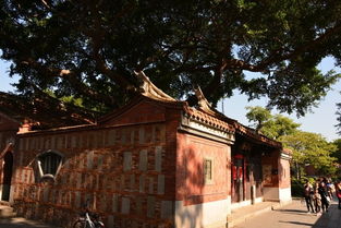 帶給我文化沖擊的泉州 yumeng所行所見(jiàn)