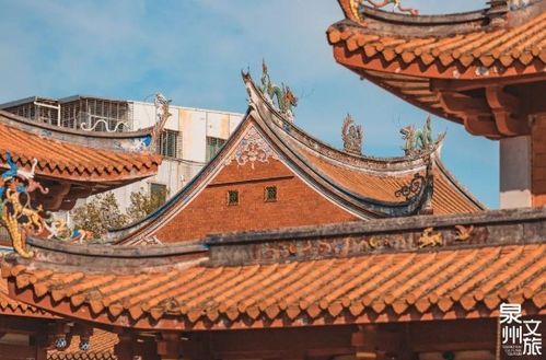 現代閩生活72式丨泉州古城,居然藏著這么多美學