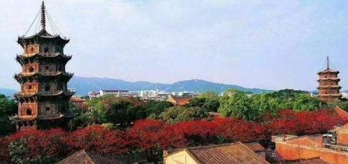 江西到福建正在修建的一條鐵路,全場495公里,其中經(jīng)過你家嗎