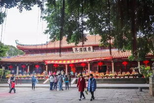 真羨慕你們可以來泉州讀大學