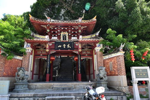 福建泉州鬧市區(qū)有個景點,沒有游客卻剛入選世界遺產(chǎn),價值非常高