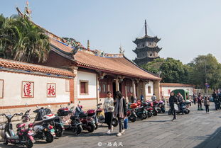 福建旅游熱度最高的城市,游客遠不如泉州多,內(nèi)中藏奧妙
