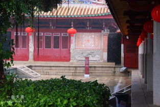 好雨時(shí)節(jié),在泉州府文廟邂逅一場(chǎng)春雨