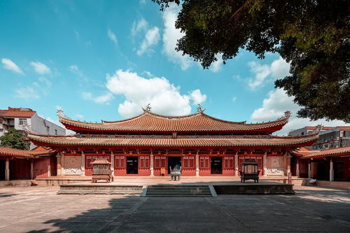 泉州 都說(shuō)它半城煙火半城仙,我只看到了滿城都是簪花小仙女