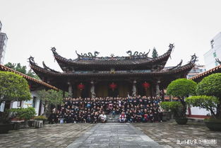 三年,泉州府已成為一種生活習(xí)慣,一個文化傳播的符號