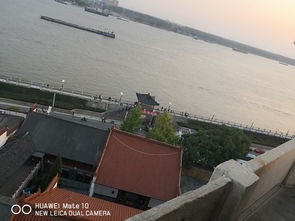 文廟停車場旁看到了博物館,好像是沒有開的樣子,也就沒有去一探究竟