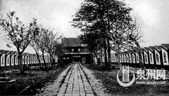 文化動態 閩南文化生態保護區