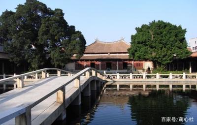 泉州“神樹”大有來頭,由清朝名將所種,300多年來受香火熏陶