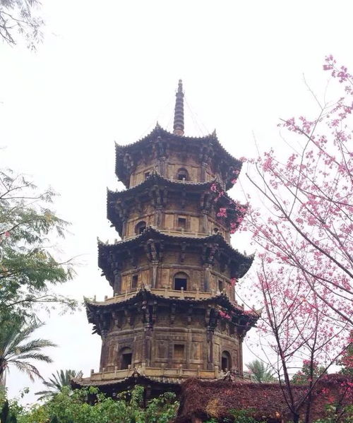 在二中心的日子 十四