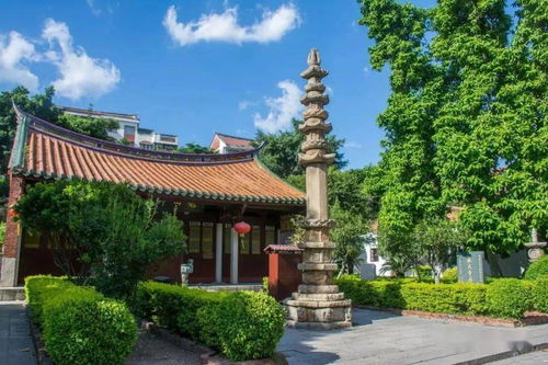 收藏 泉州 文保 知多少 涵蓋五大類別,共945項