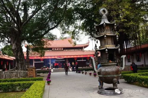 刺桐史跡初相見 泉州老城