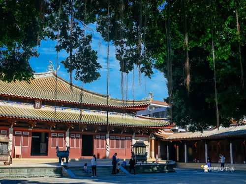 跟著世遺名錄游泉州之府文廟 中國東南現存規模最大孔廟古建筑群