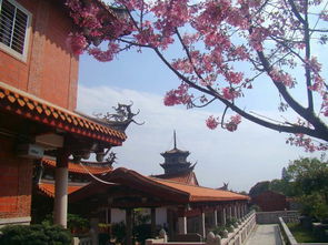 我國最強的兩座二線城市,比省會還出名,深受游客喜愛