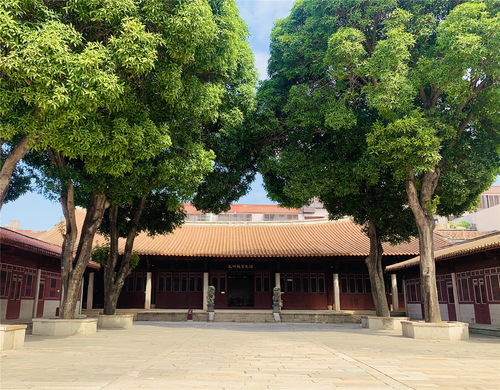 高考前逛文廟,考生組團(tuán)來拜孔子,泉州文廟可不止是這一些