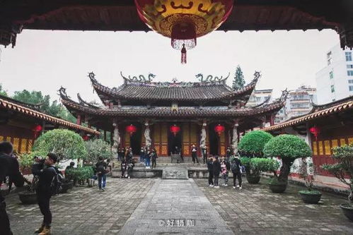 探尋鄉(xiāng)愁之根∣137人一同徒步永春,用腳步穿梭在永春的大街小巷,感受古老永春的渾厚歷史