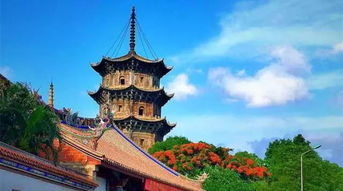 一封泉州美女的辭職信,火爆了全國