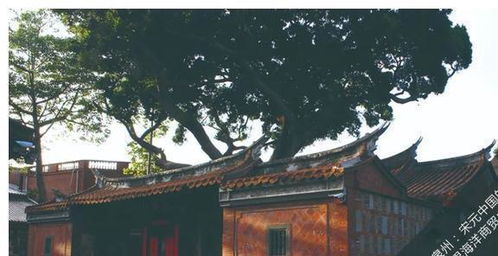 世遺大會進行時,一起看看 泉州 宋元中國的世界海洋商貿中心