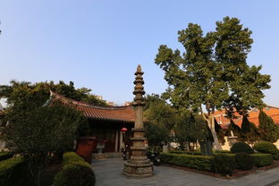 泉州古城三日游 開元寺 清凈寺 府文廟 天后宮 清源山 洛陽(yáng)橋 德濟(jì)門遺址 九日山 承天寺 西湖