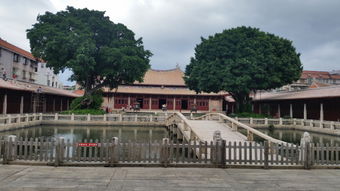 閱盡繁華,終歸平淡 泉州開元寺 老街 府文廟