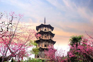 泉州清源山 博物館 府文廟 清凈寺 開元寺純玩一日游 本地精華 上門接站