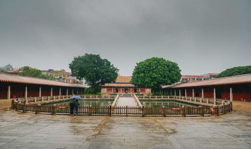 今天,全世界都在看泉州