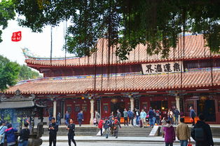 人生海海 花落花開 古城跨年,泉州5日深度游