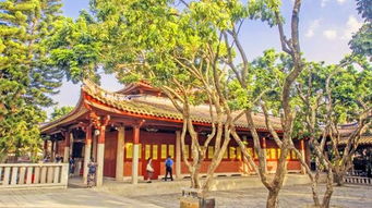 泉州大開元寺 洛陽橋 泉州府文廟 天后宮純玩一日游