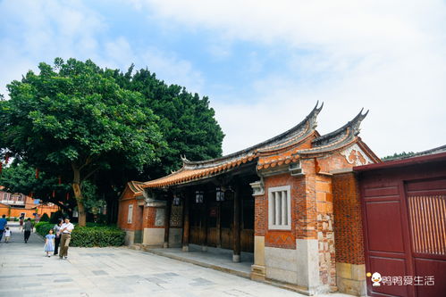 泉州文廟 中國東南現存規模最大的孔廟古建筑群